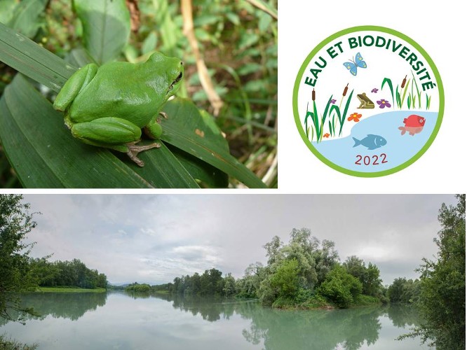 ACTU. L’agence de l’eau ouvre un nouvel appel à projets de 10 millions d’euros en faveur de la biodiversité