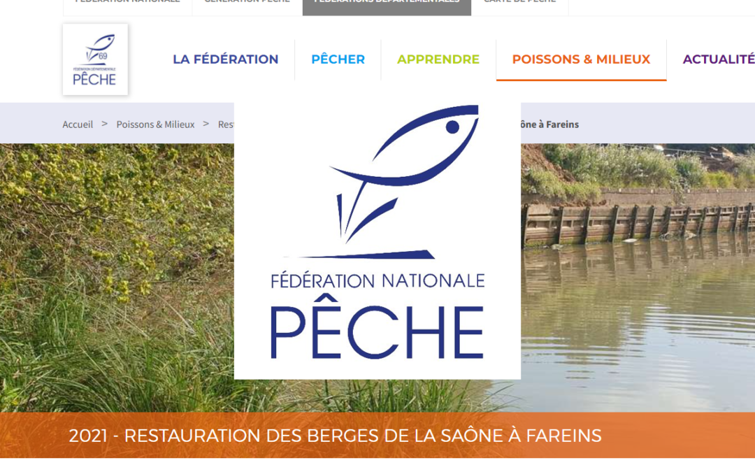 Restauration des berges de la Saône à Fareins – Fédération Départementale de Pêche